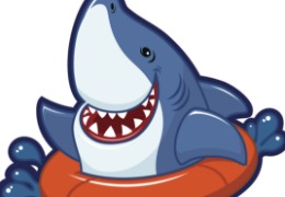 食品原料小百科：硫酸軟骨素可以用在什么地方？