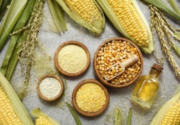 野油菜黃單孢菌發(fā)酵產(chǎn)生的復合多糖體——黃原膠（上）