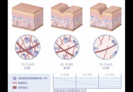 水潤皮膚的秘密武器，乙酰殼糖胺和透明質(zhì)酸的甜蜜聯(lián)盟！